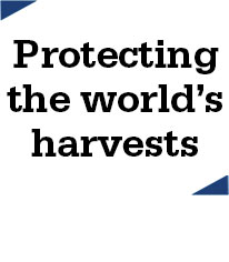 Protecting the world’s harvests